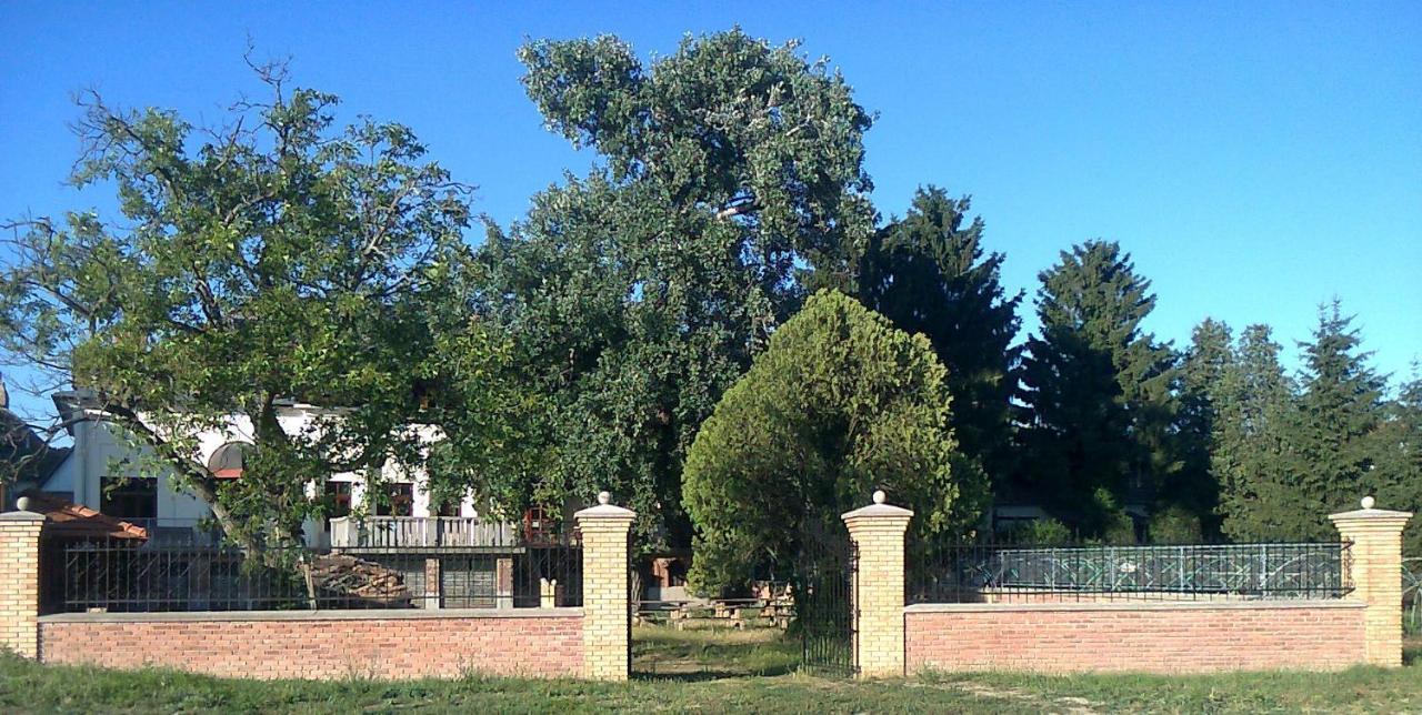 Хостел Goencoelhaz Вац Экстерьер фото